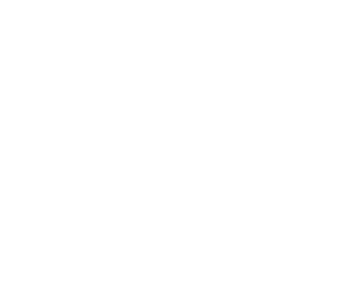 PIRATE SPIRIT Online-Shop